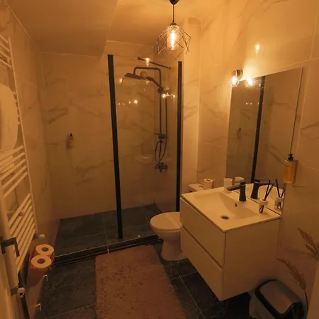 Urban George Enescu Apartment Craiova